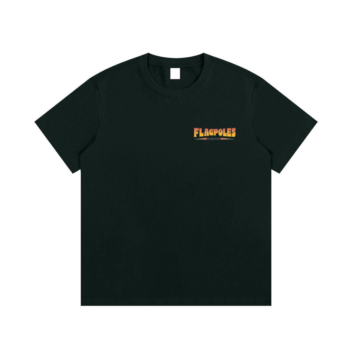Flagpoles 2025 Shirt